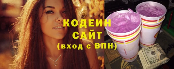 прущие грибы Бронницы