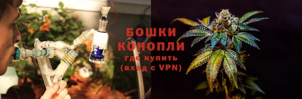ешки Богданович