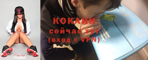 ешки Богданович