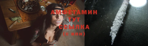 прущие грибы Бронницы