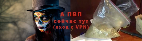 СК Богородицк