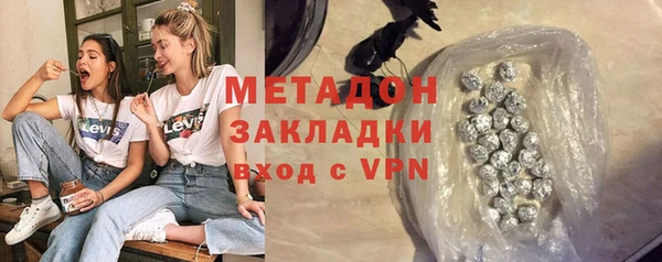 прущие грибы Бронницы